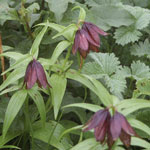 �~���}�N������