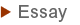 essay
