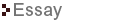 essay